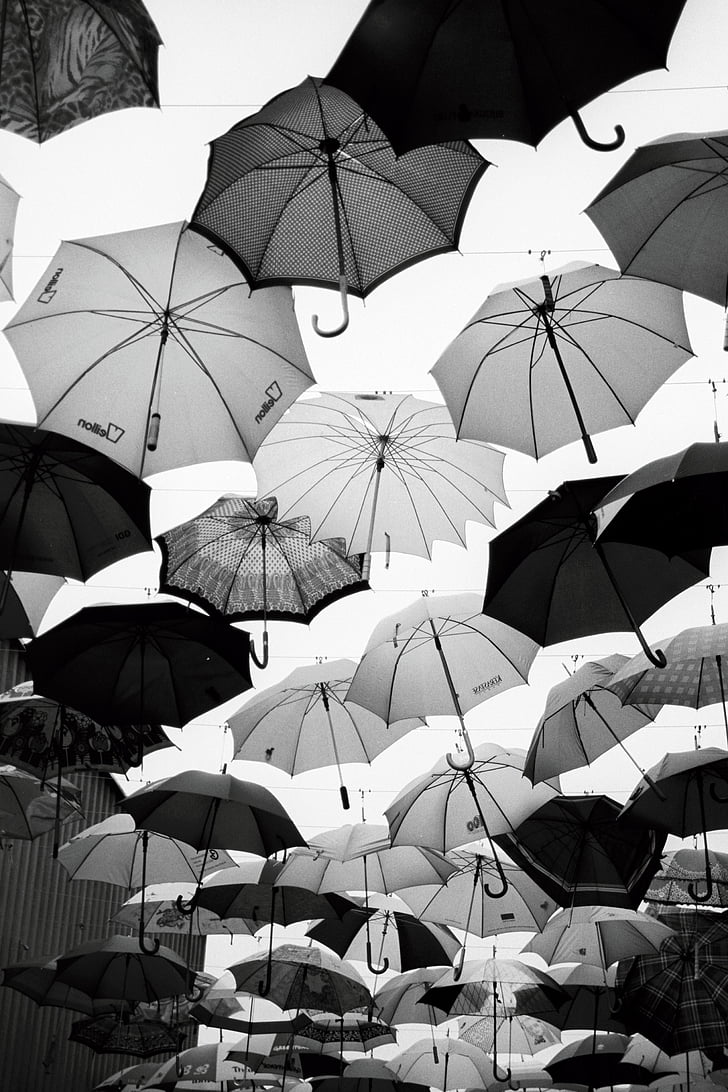 umbrella, umbrellas, black and white, flying, sky, rainy, fun