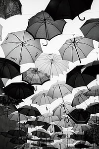paraguas, sombrillas, blanco y negro, vuelo, cielo, lluvias, diversión