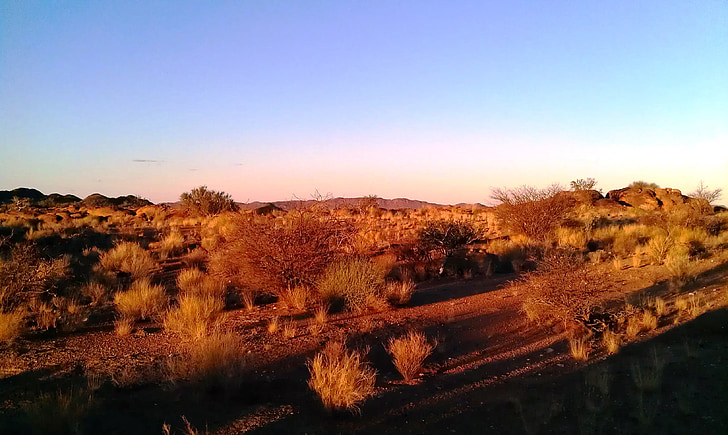 south africa, northern cape, landscape, nature, twilight