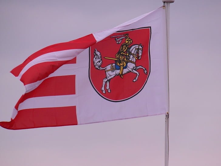flagg, Mecklenburg, Reiter, gylden, flagre, vind, våpenskjold