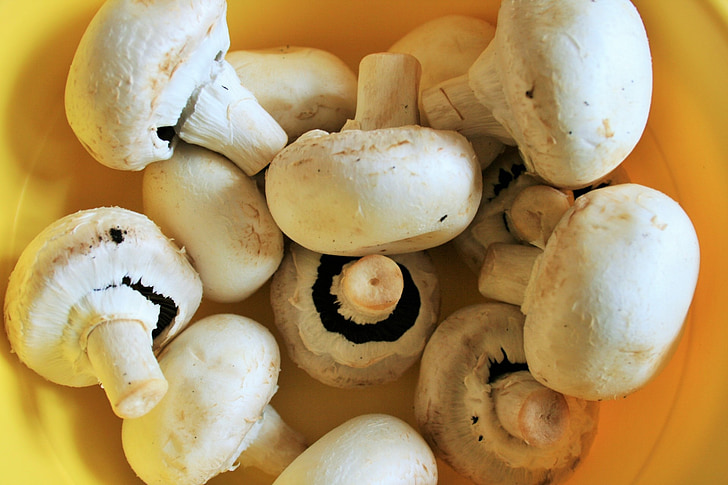 jamur, segar, keseluruhan, putaran, mentah, putih, jamur