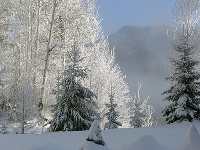 l'hivern, primera hora del matí, boira, Llac canim, Colúmbia Britànica, Canadà, paisatge