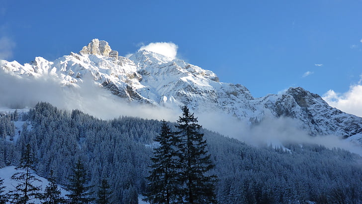 Adelboden, pozimi, Alpski, Švica, sneg, januarja