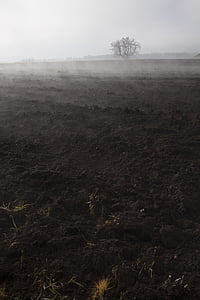 brouillard, humeur, paysage, Banc de brume, jour de brouillard, novembre, terres arables