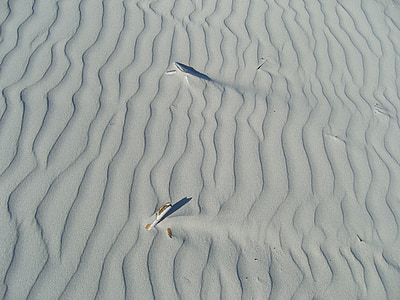 пясък, плаж, миди, препечатайте, празник, крайбрежие, вълнообразни линии