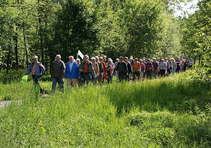 Wandern, Landschaft, laufen, Dawn, Gruppe, Natur