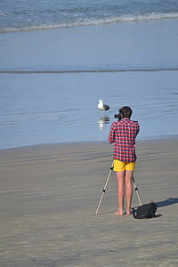 摄影师, 海滩, 海洋, 摄影, 生活方式, 专业, 业余爱好