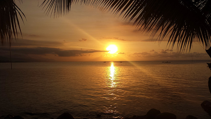 Roatan, ön, solnedgång