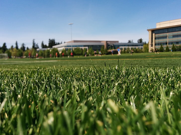 grass, lawn, sports field, turf, sport, sky, outdoors