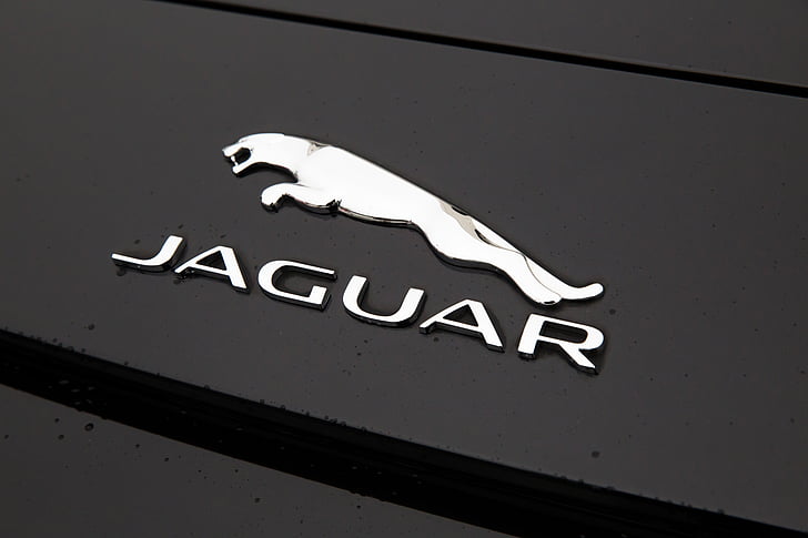 Jaguar, logo, sort, sølv, emblem