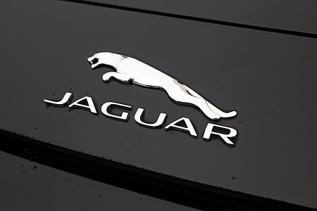 Jaguar, logó, fekete, ezüst, embléma