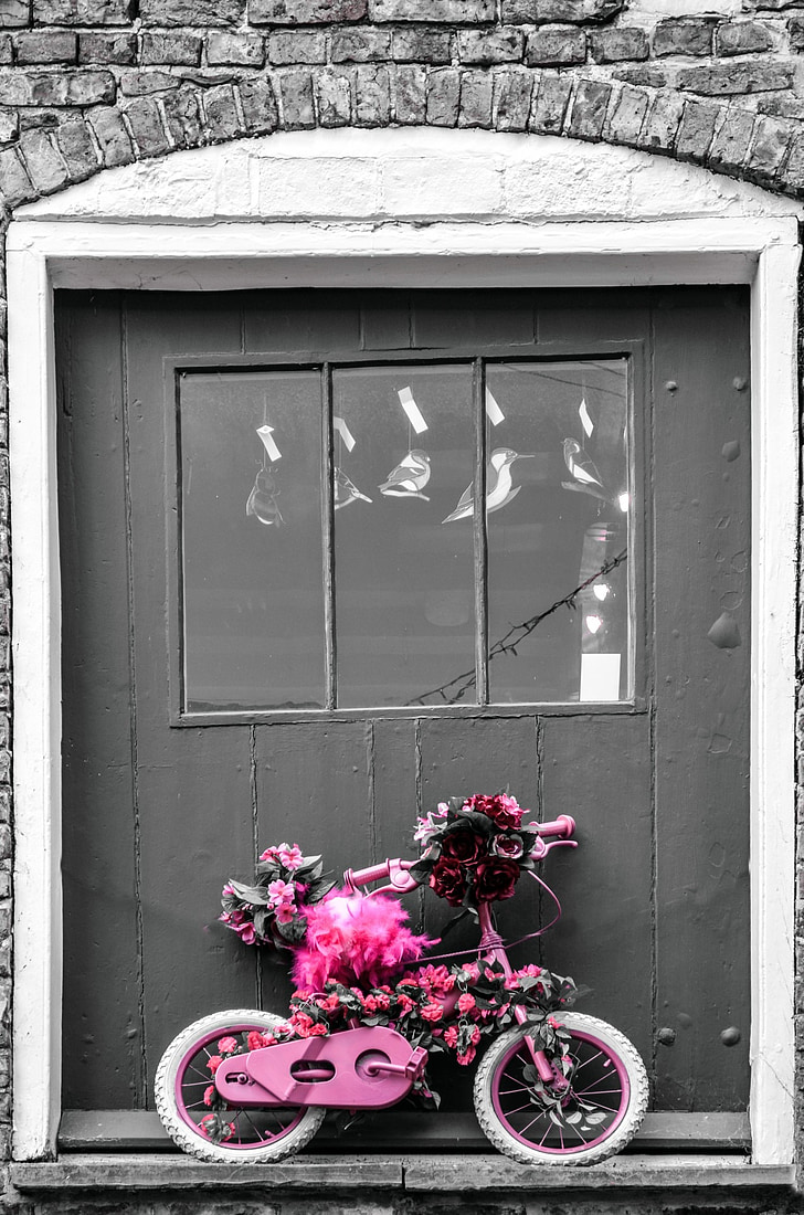 vaikai, dviratis, dviratis, mažas, durys, gėlės, rožinė