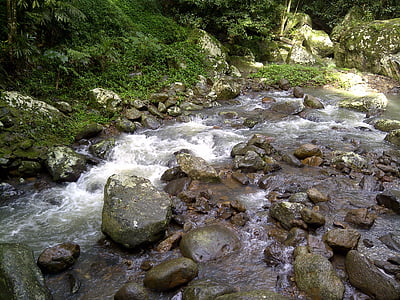 stream, creek, flowing, flow, landscape, nature, water