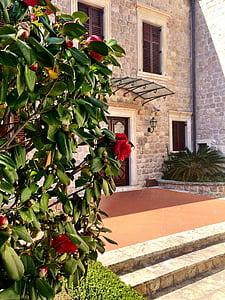 lâu đài, Hotel kazbek, khách sạn Boutique, mùa xuân, Camellia, Dubrovnik, Croatia