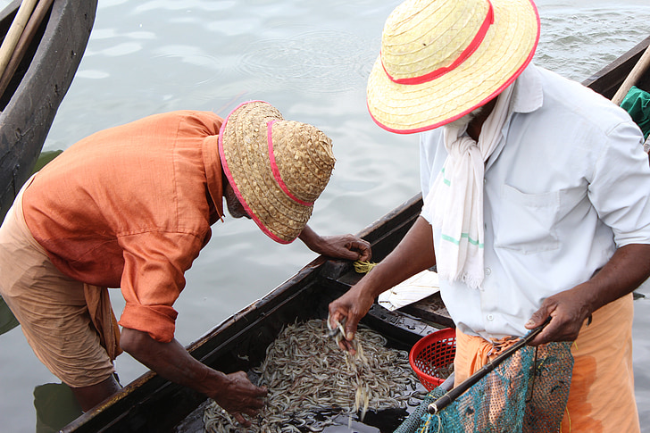 rybári v Indii, Fisher v kérelem, Rybolov v allepeay, plody mora, rybár, jedlo, ryby