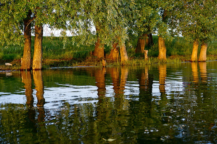 River, vesi, Sunset, puut, Luonto, rauhallinen joki, maisema