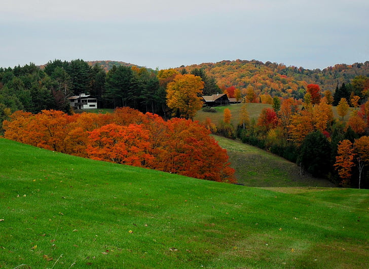 Vermont, na podzim, New england, venkova, Les, Scene, Woods