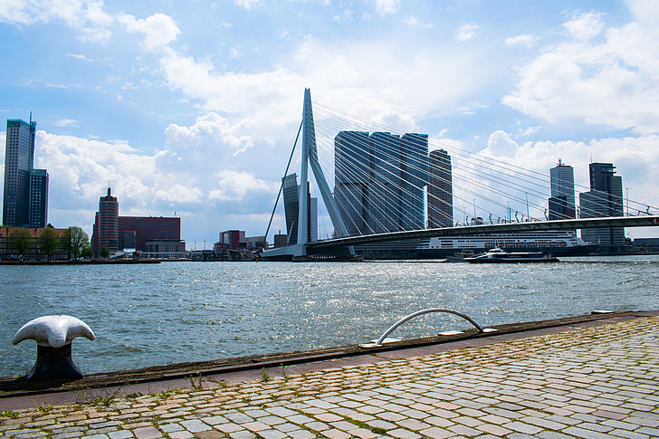 Rotterdam, ponte, arquitetura, paisagem urbana, Países Baixos, Europa, moderna
