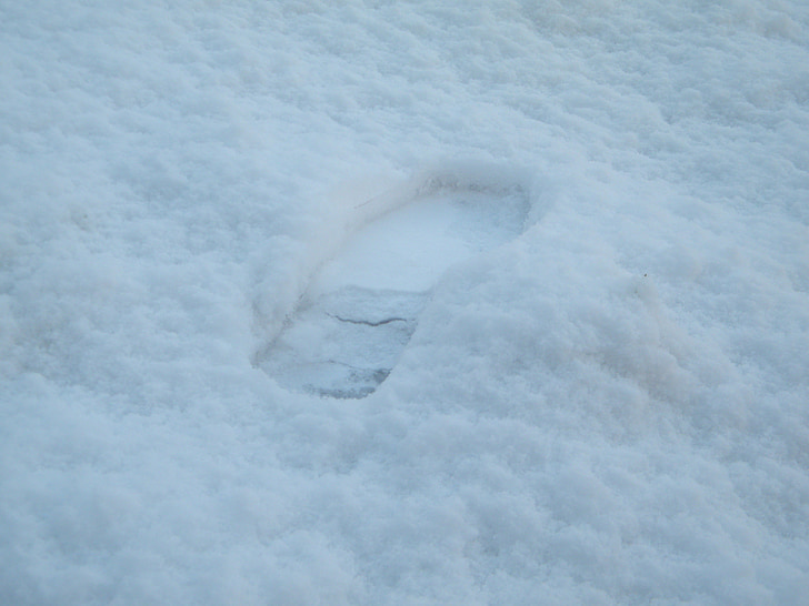 fotavtrykk, sko, foten, hvit, snø, kalde, fred