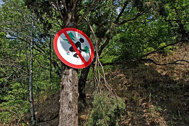 šuma, znak, Ukrajina, Krimski, Krim, razvedeni