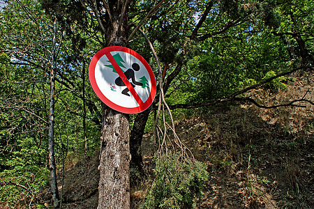 森林, 标志, 乌克兰, 克里米亚, 克里米亚半岛, 离婚