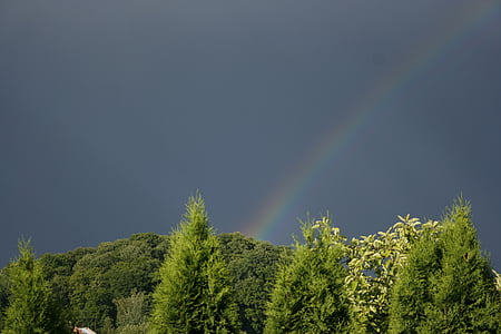Rainbow, niebo, tęczy niebo, niebieski, krajobraz, Natura, Latem