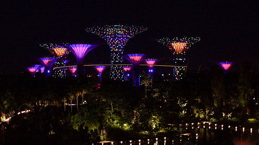 Singapur, Marina, stromy