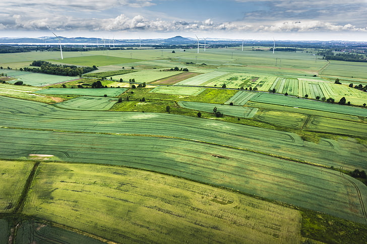field, agriculture, nature, earth, aerial, green, spring
