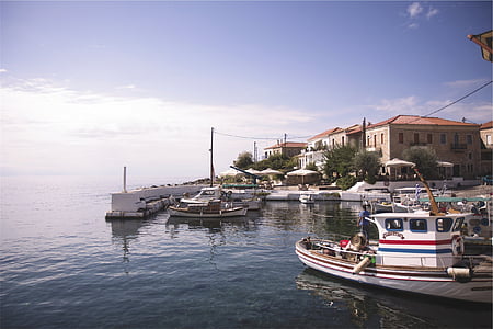 hvid, hastighed, båd, bådene, Docks, Marina, Harbor