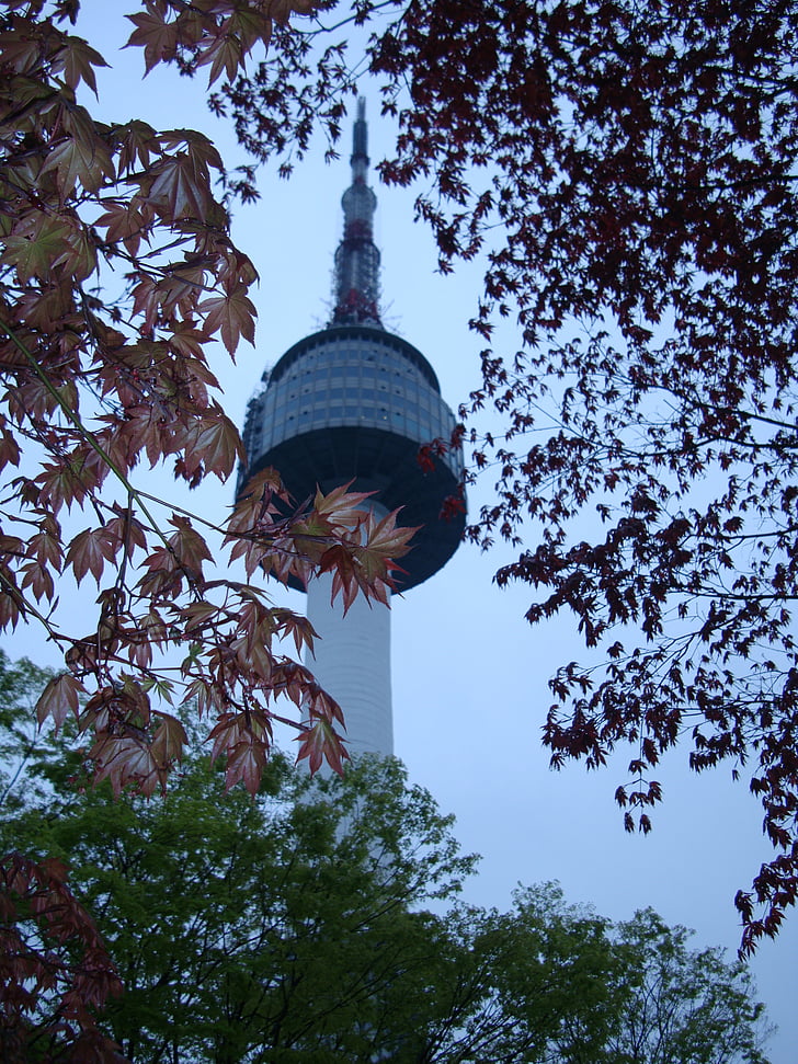 Torre de namsan de Seúl, Corea del sur, Seúl, Parque, punto de referencia, otoño
