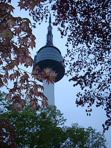 Seulas namsan bokštas, Pietų Korėja, Seulas, parkas, orientyras, rudenį