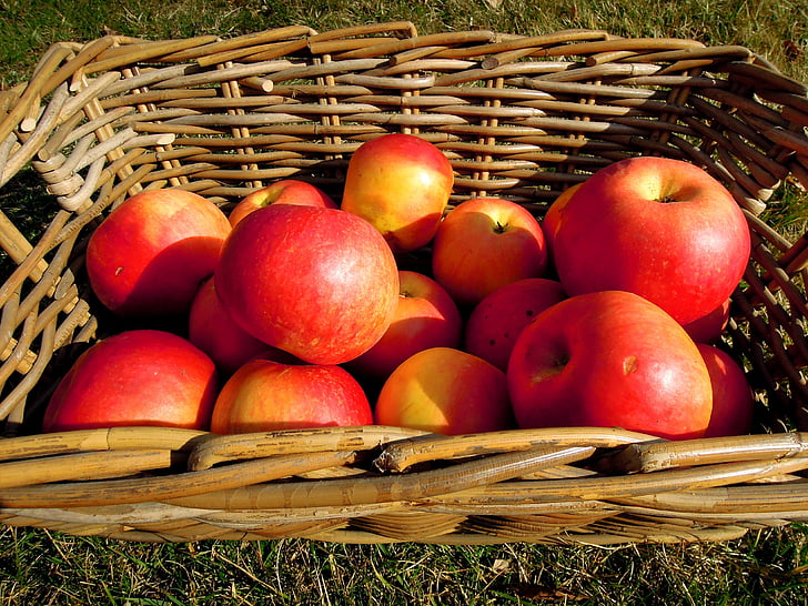 apple, fruit, basket, red