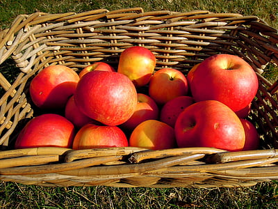 Apple, frukt, korg, röd
