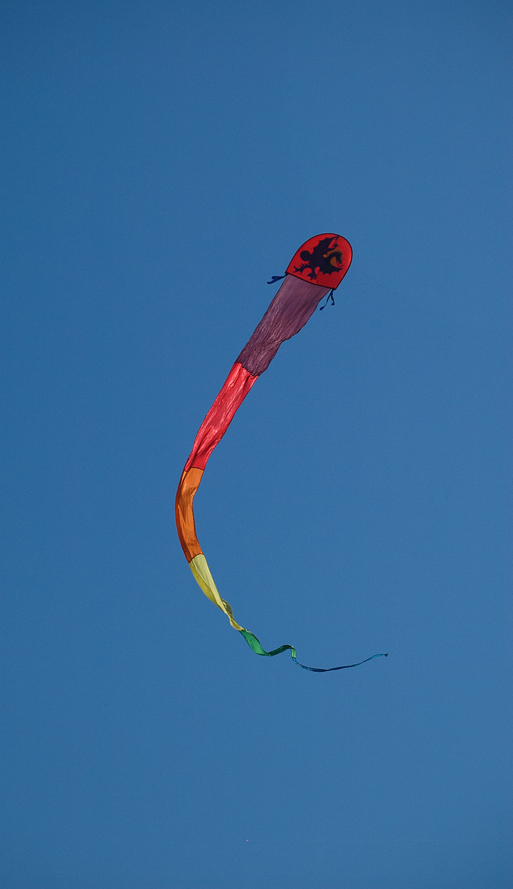 Kite, céu, voar, voando, vento, recreação, azul