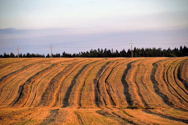 field, harvested, the undulating, after the harvest, striped, stripes, landscape