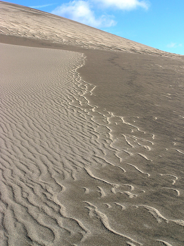 dunes de sable, Parc, national, préserver, paysage, nature, ondulations