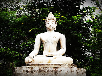 Buda, Indija, um, molitev, koncept, budistični, budizem