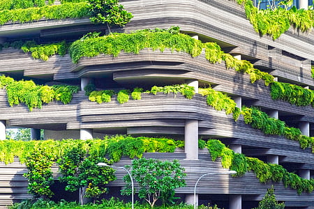šedá, beton, budova, zelená, trav, zahrada, moderní architektura
