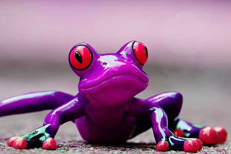 frog, funny, figure, cute, animal, fun, purple