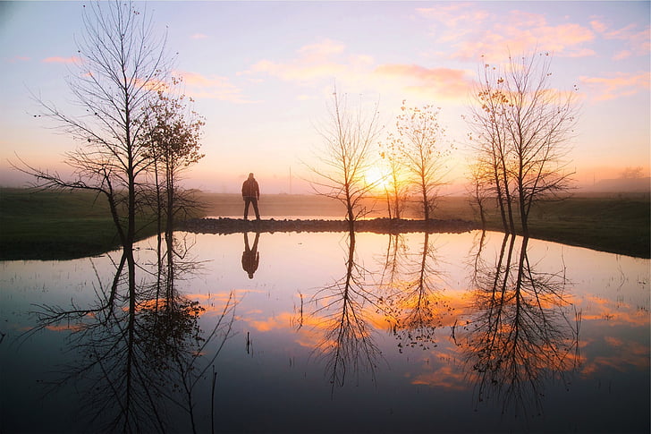 Sonnenuntergang, Wasser, Reflexion, Bäume, Teich, Kerl, Mann
