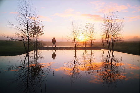 puesta de sol, agua, reflexión, árboles, estanque, chico, hombre