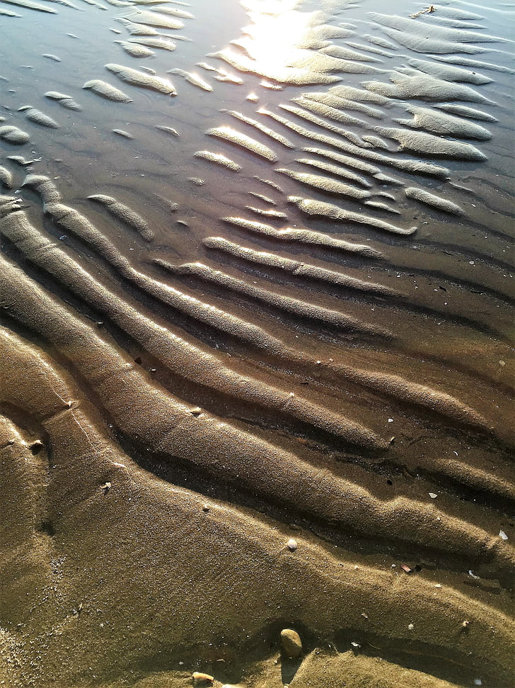 Beach, homok, hullám, nyomok, tenger, víz, reprint