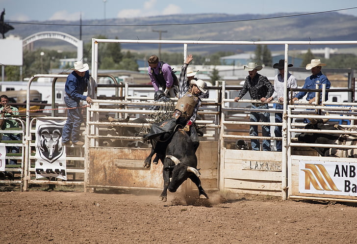Rodeo, vaquer, Toro, equitació, oest, àmbit, competència