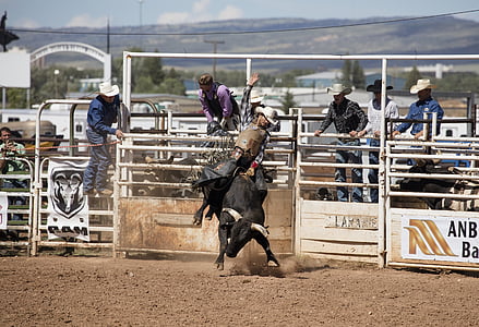 rodeo, cowboy, bull, riding, west, arena, competition