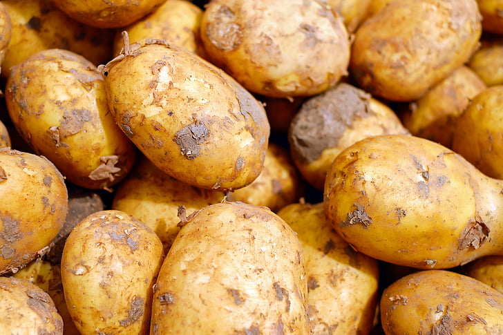 kentang, sayuran, erdfrucht, Makanan, karbohidrat, kentang mentah, kentang baru