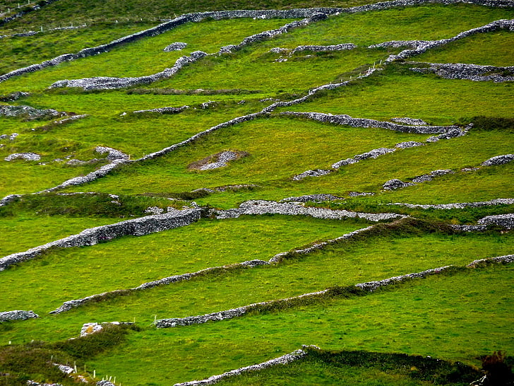 Irlandia, pagar, batu, alam, pemandangan, di luar rumah, pedesaan