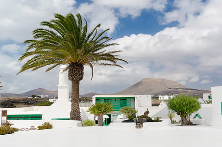 Palm, Lanzarote, Kepulauan Canary, Spanyol, Pulau, kenari pulau, langit