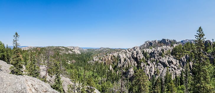 Custer state park, Wyoming, Panorama, žula, Wild, Les, Divočina