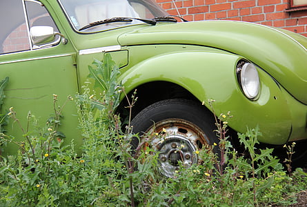 vw, car, scrap, rust, green
