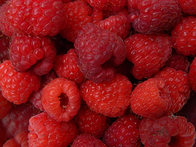 ovocie, Malina, červená, letné, blízke, jedlo, sviežosť